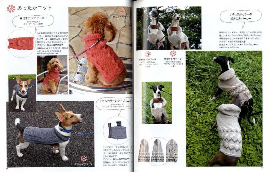 Clothing & Accessories dog